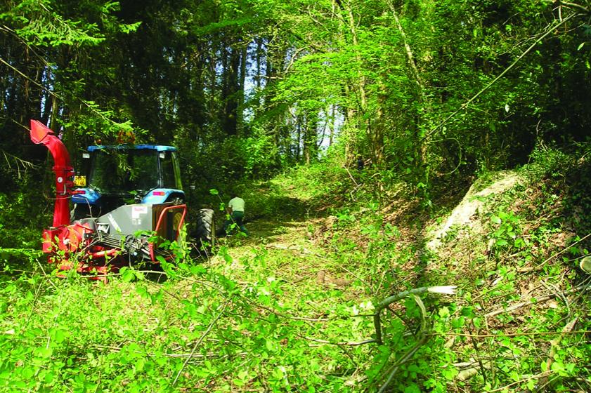 Travaux de réhabilitation du parc de Castillon. 2006, Ville de Tarnos 